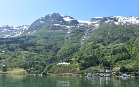 124 Sørfjorden and Folgefonna Glacier with fruit farms near Nå Ullensvang